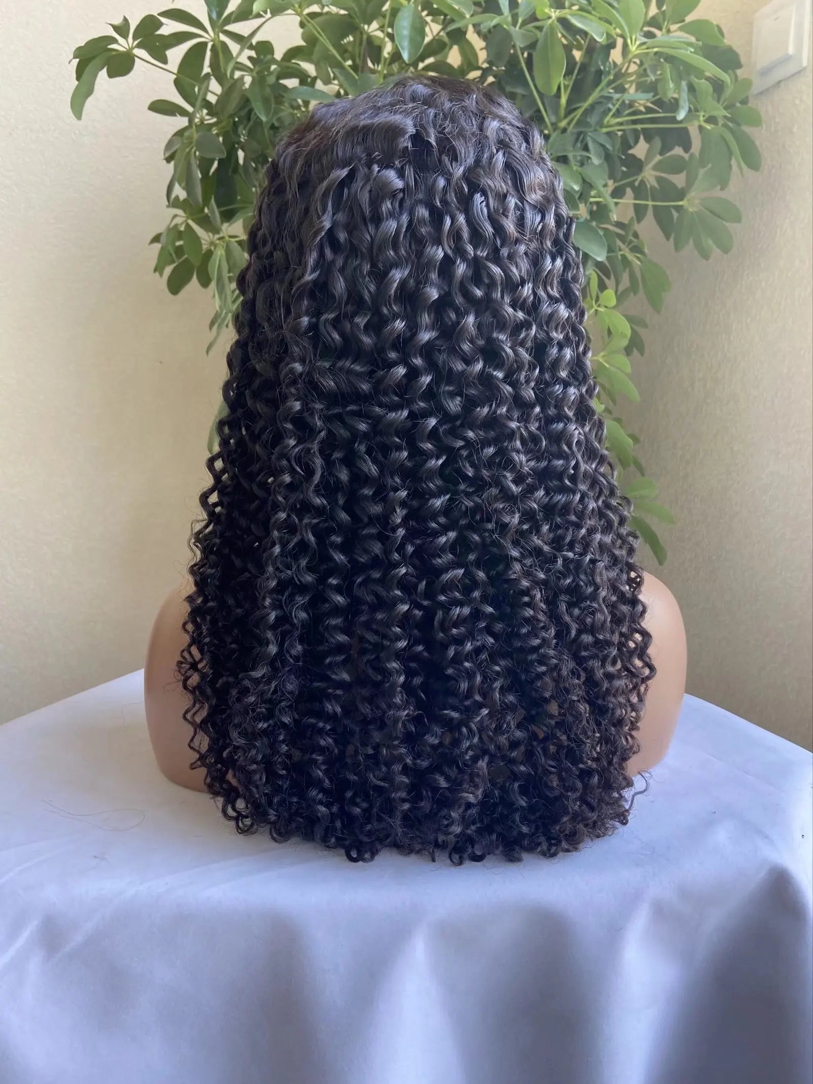 Raw 100% Virgin Human Hair Brazilian Remy Hair Wholesale Water Wave Lace Front Wigs Cuticle Aligned hd Lace Frontal Wigs
